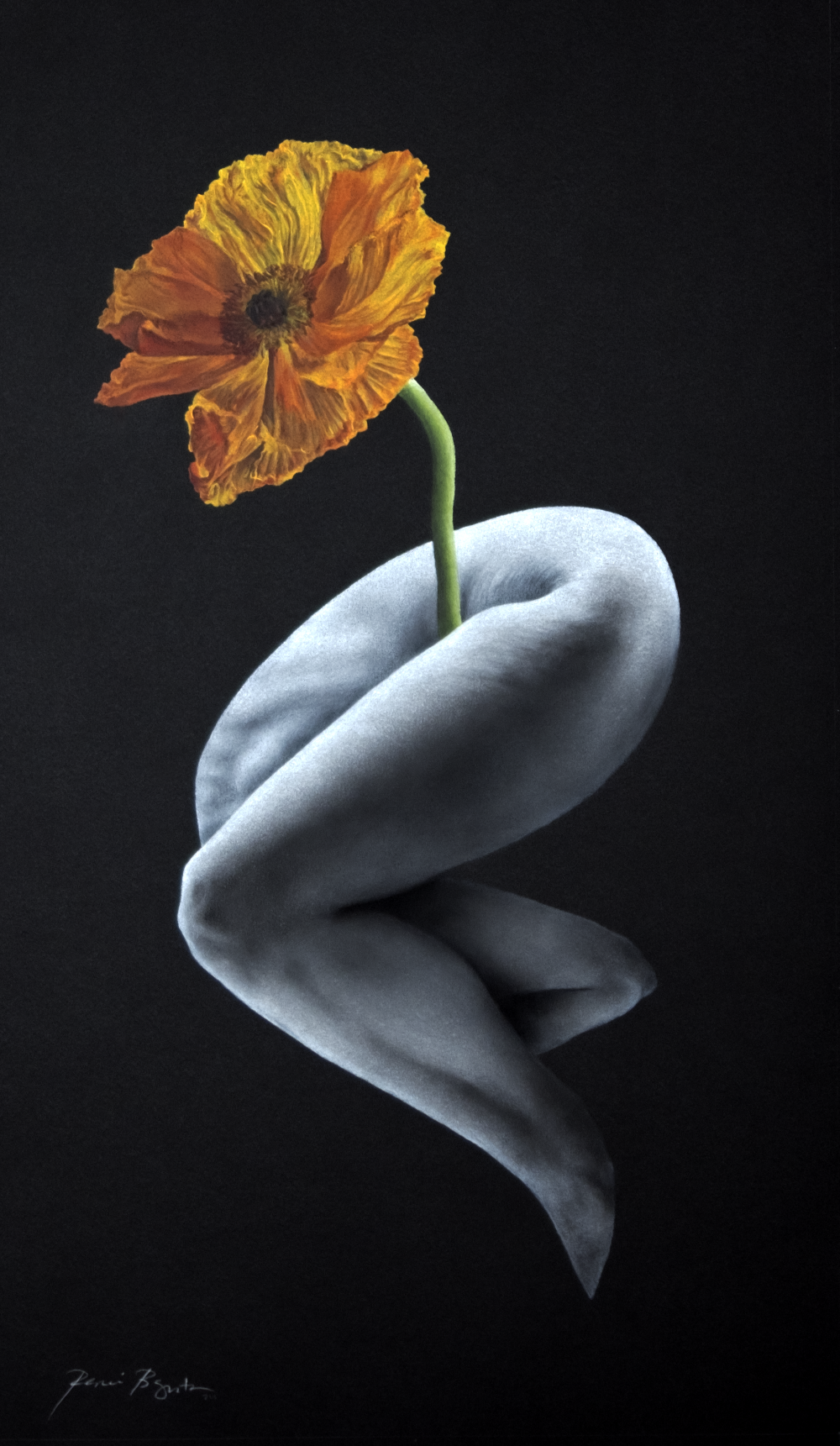 Amphora
