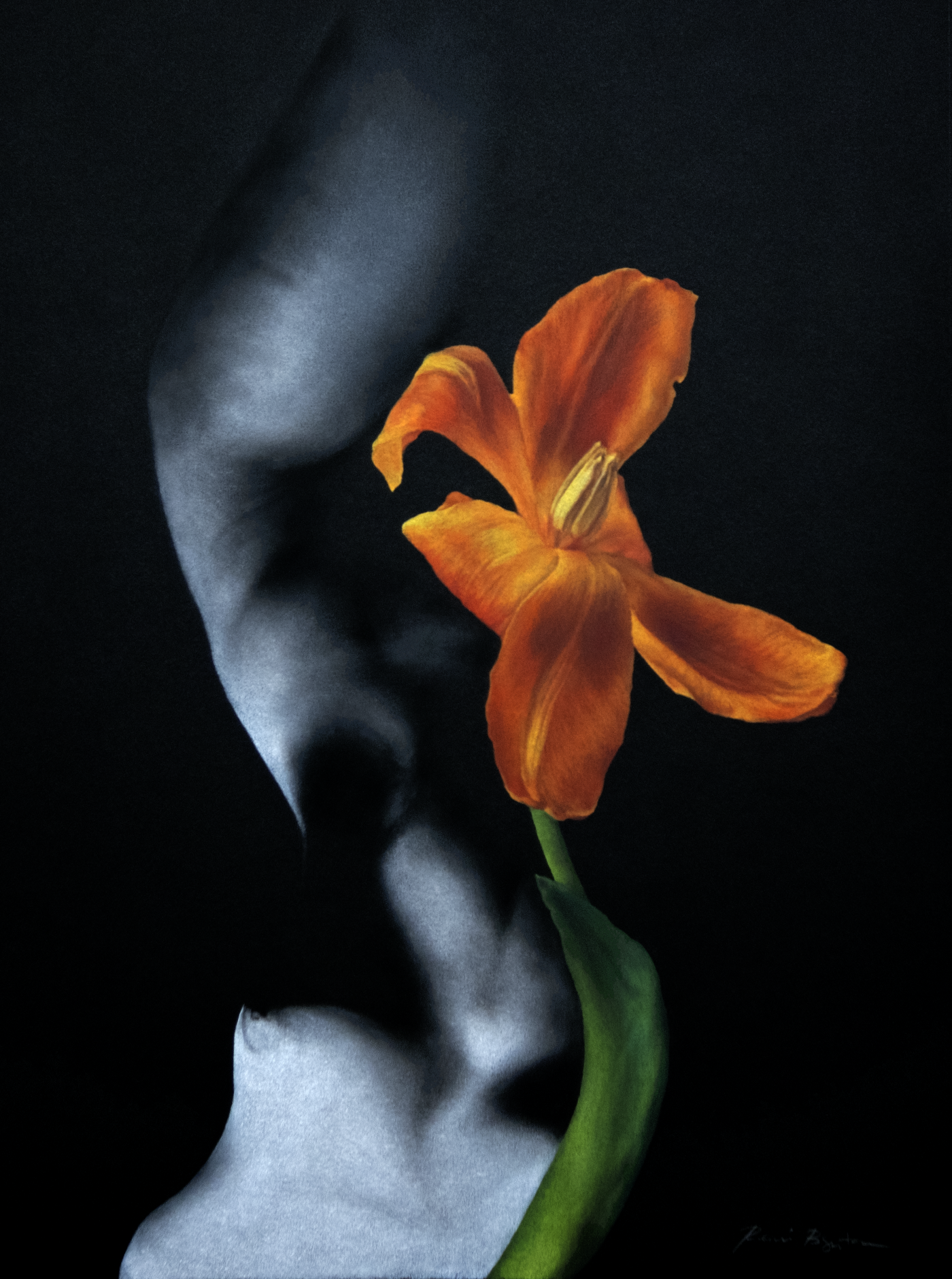 Unfurl