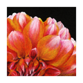 Floral (Orange) Print