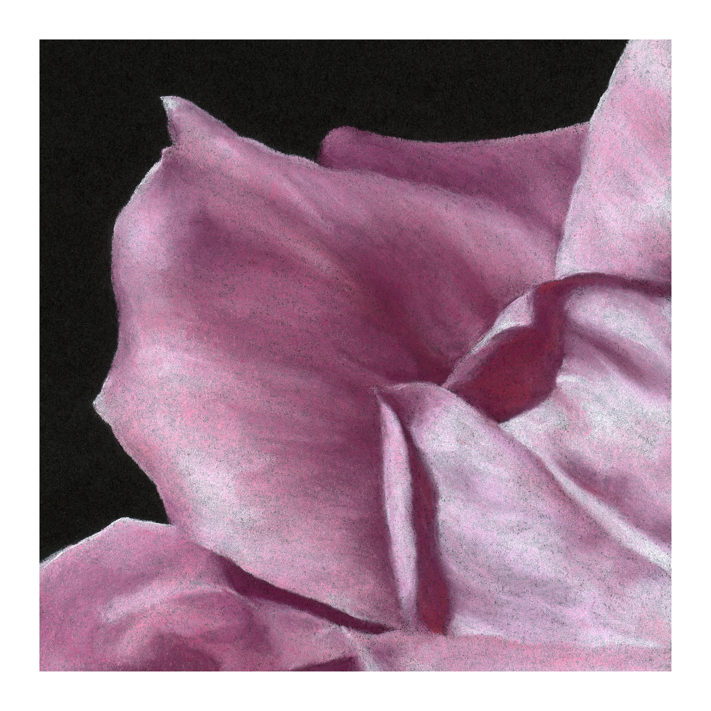 Floral (Pink II) Print