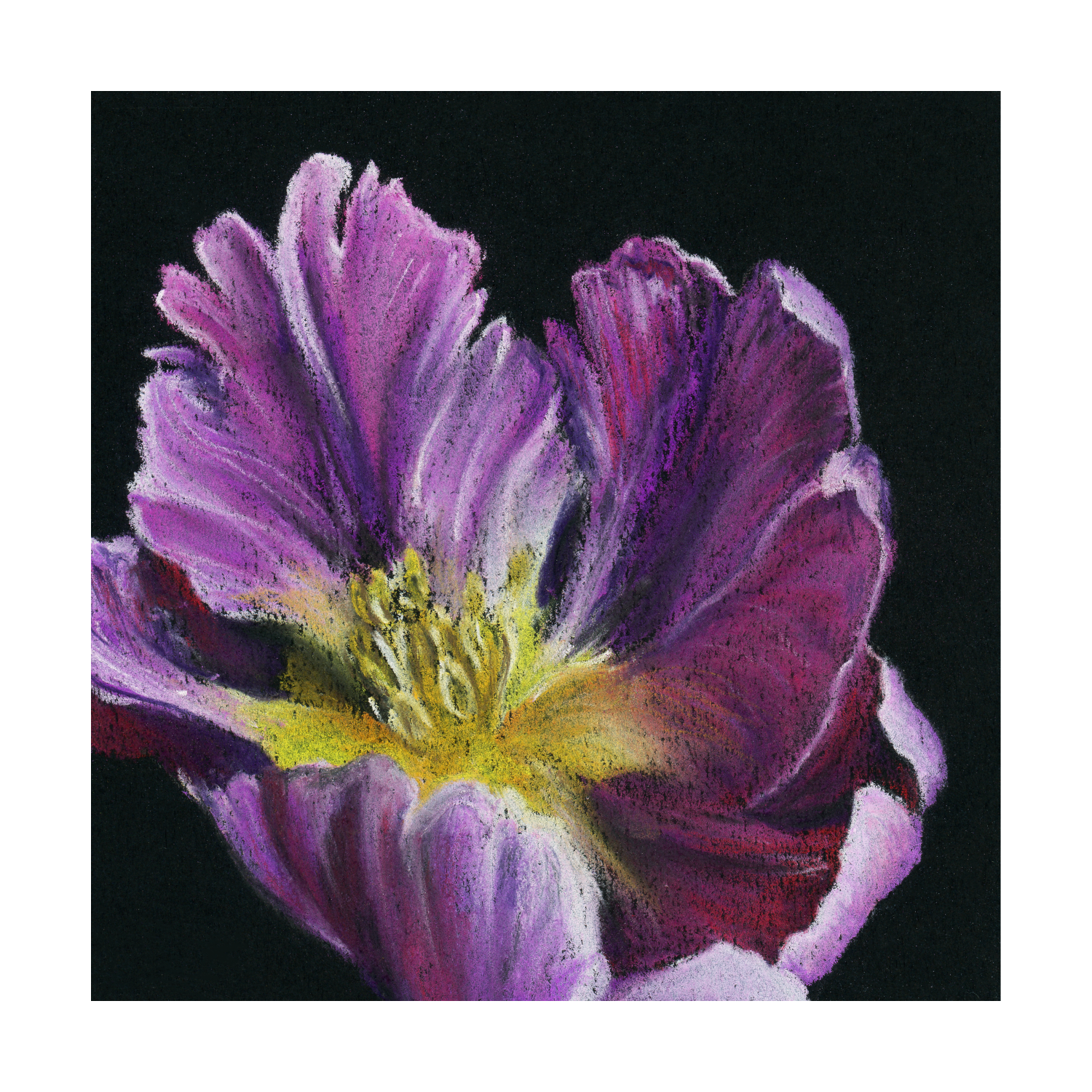 Floral (Purple) Print