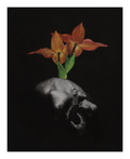 Resurgence Print