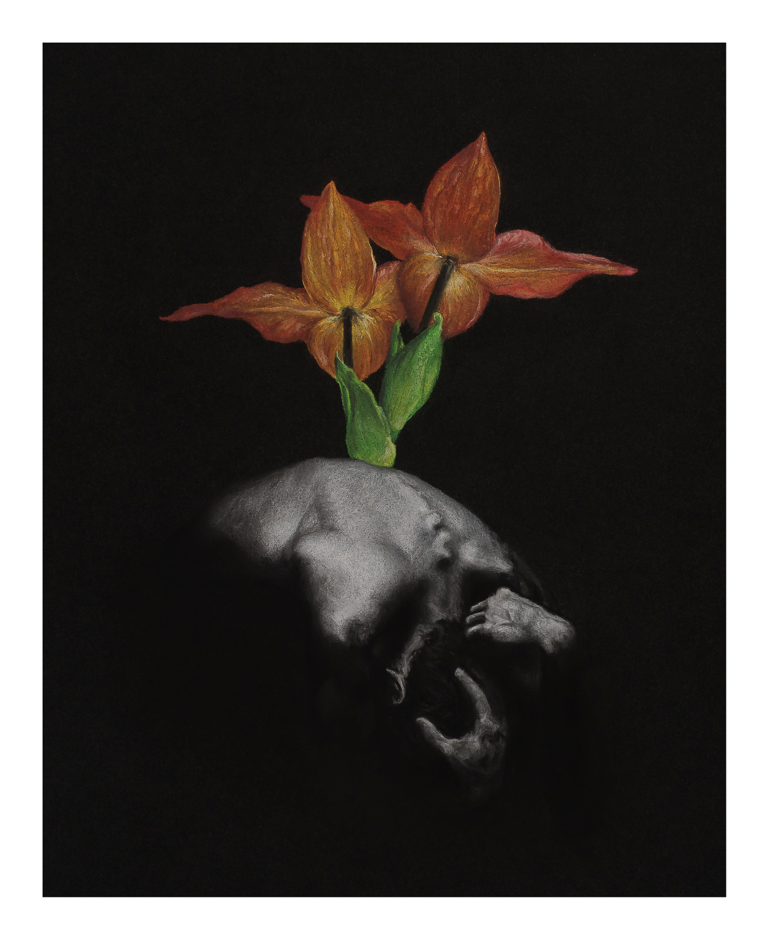 Resurgence Print