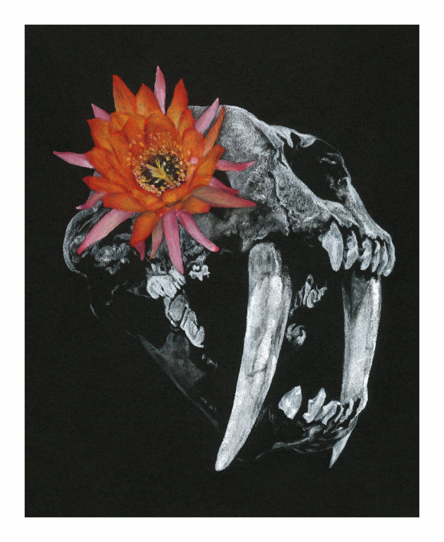 Saberbloom Print