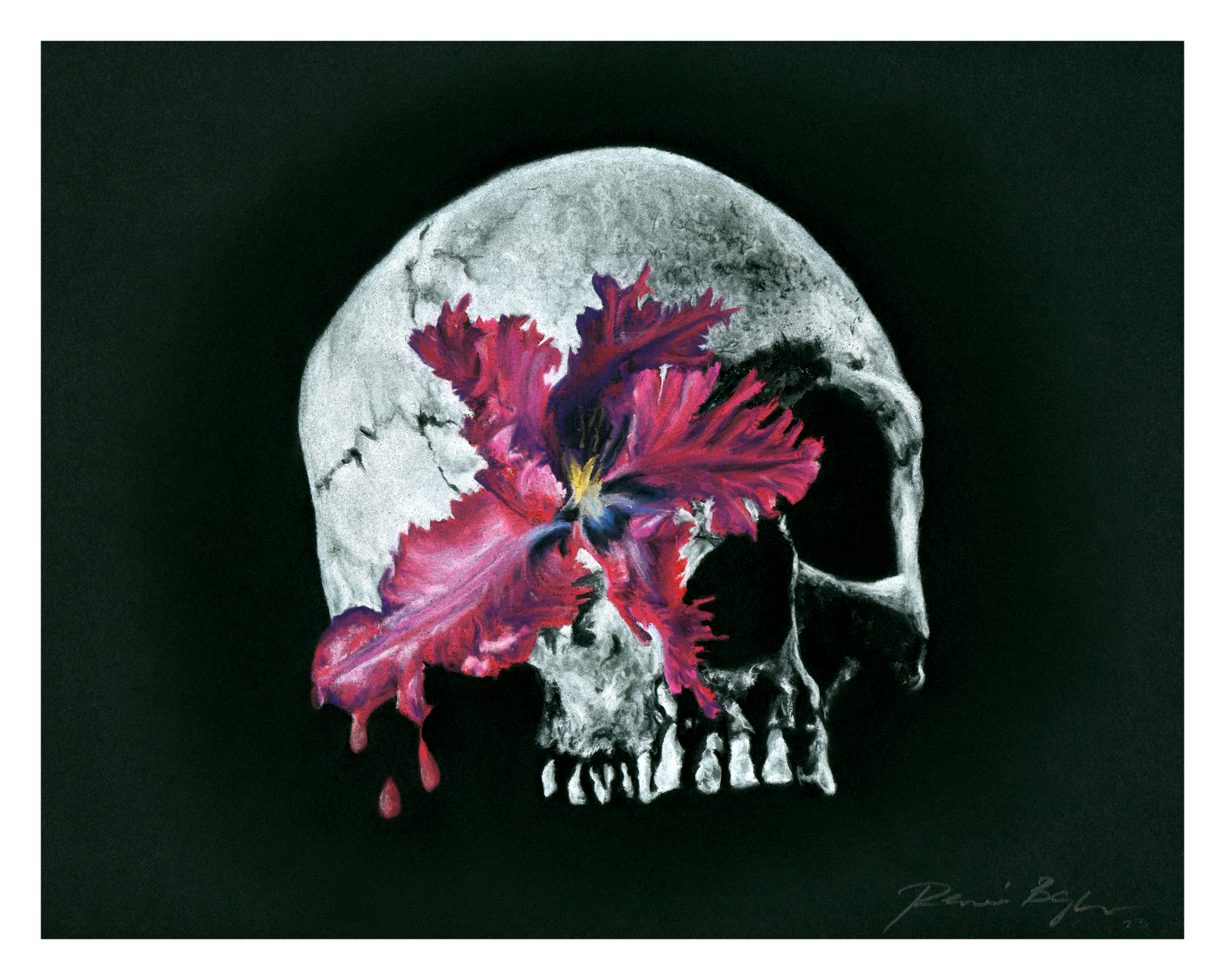 Skulldera Print