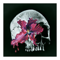 Skulldera Print