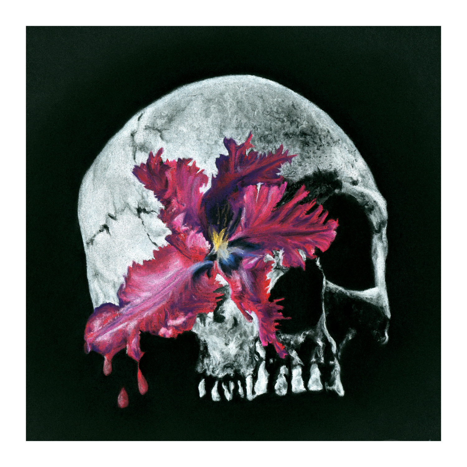 Skulldera Print