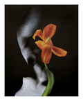 Unfurl Print